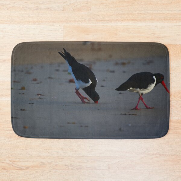 Item preview, A Pied Oyster Catcher In To The Hilt designed and sold by Jason Gilbert.