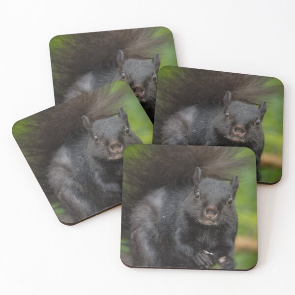 Item preview, Eastern Grey Squirrel designed and sold by Robert Alsop.
