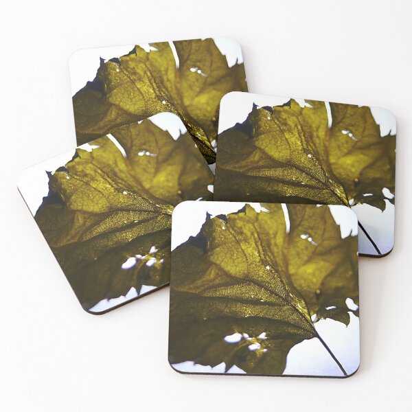 Item preview, Old Leaf designed and sold by ThruJensLens.