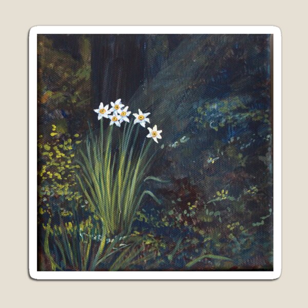 Stars in Shadow Shimmering: Daffodil Magnet