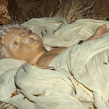 Artwork thumbnail, Wrapped in swaddling clothes by steppeland