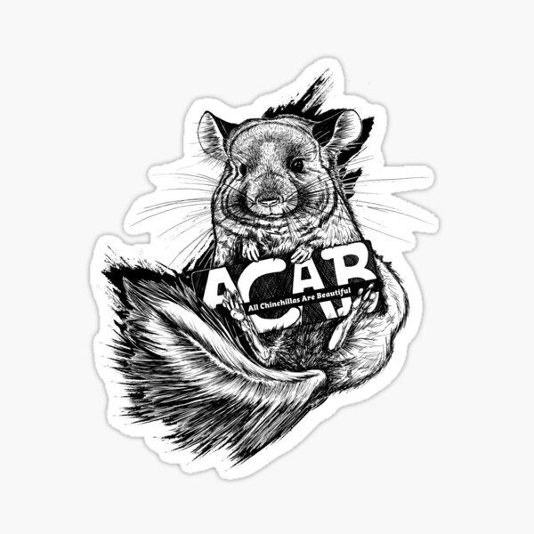 Chinchilla - ACAB (All Chinchillas Are Beautiful!) Sticker