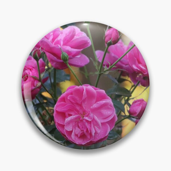 Item preview, Roses in Autumn designed and sold by cuprum.