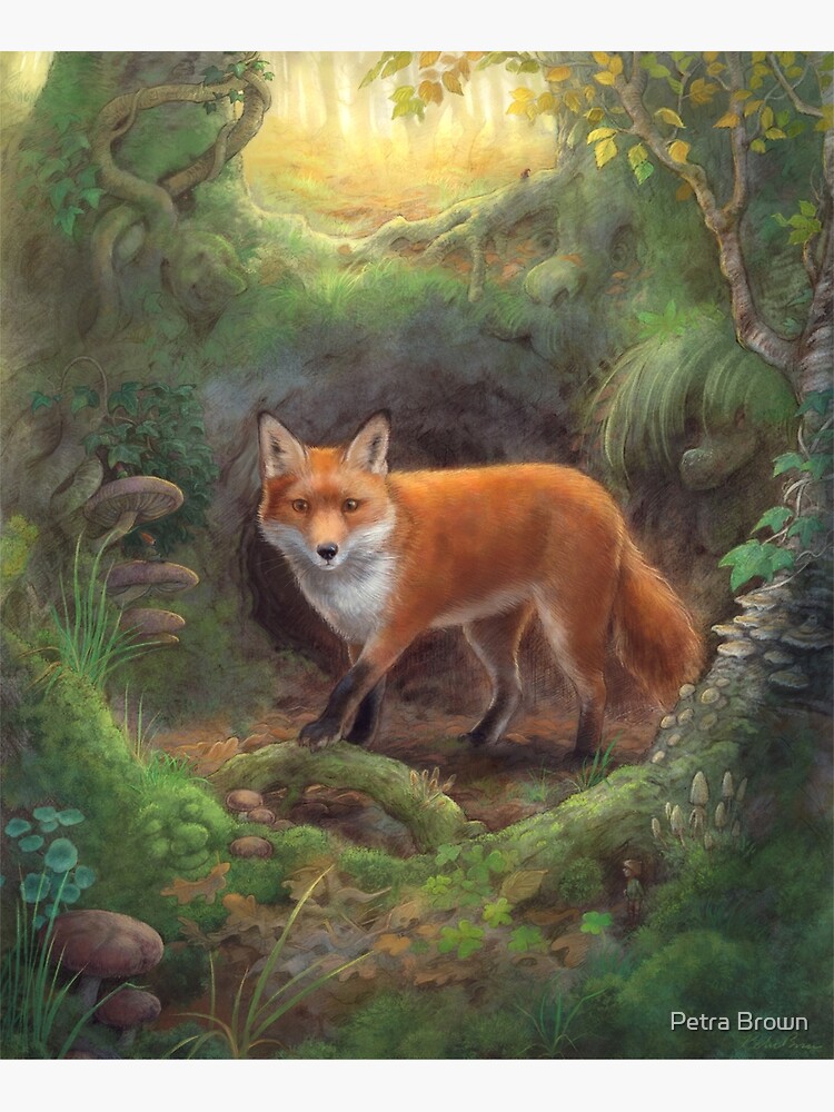 "The Fox Den" Art Print for Sale by mydododied Redbubble