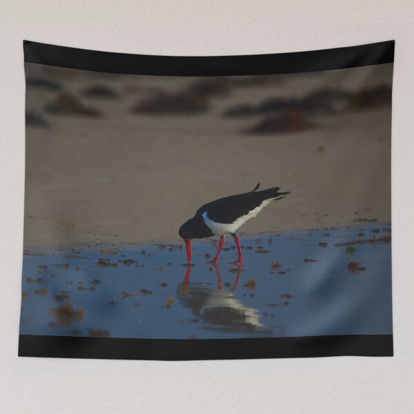 Item preview, A Pied Oyster Catcher's Reflection While Hunting designed and sold by Jason Gilbert.