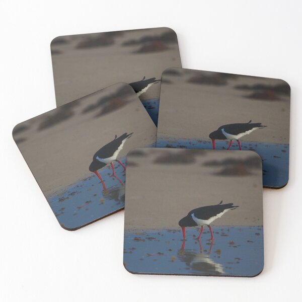 Item preview, A Pied Oyster Catcher's Reflection While Hunting designed and sold by Jason Gilbert.