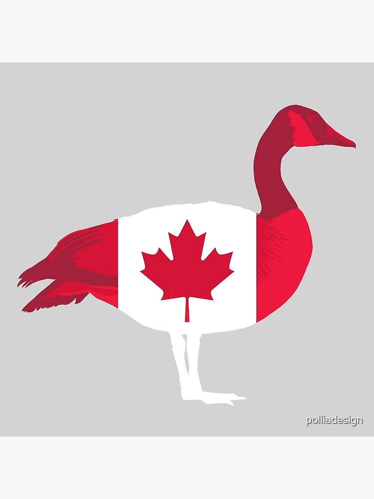 Canada goose 2024 red flag