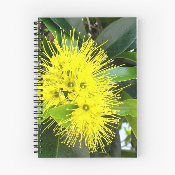 Item preview, Golden Panda Australian Native Plant. designed and sold by sandysartstudio.