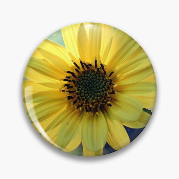 Item preview, See the Sun designed and sold by cuprum.