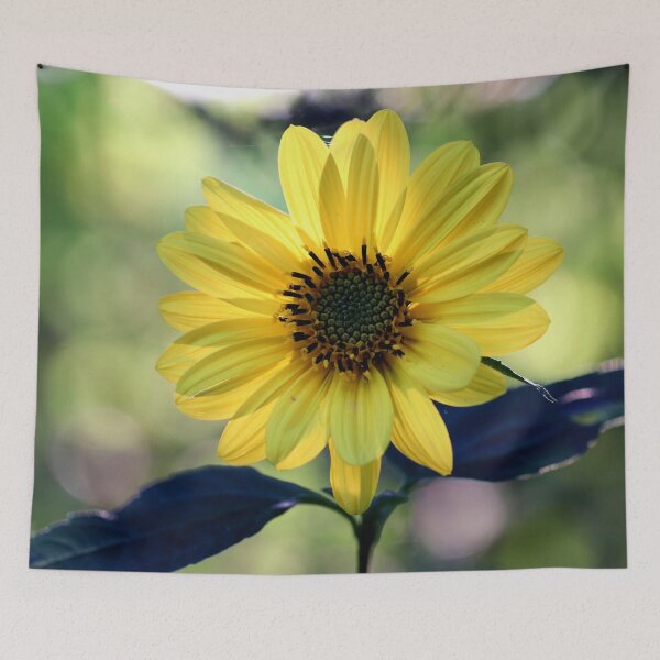 Item preview, See the Sun designed and sold by cuprum.