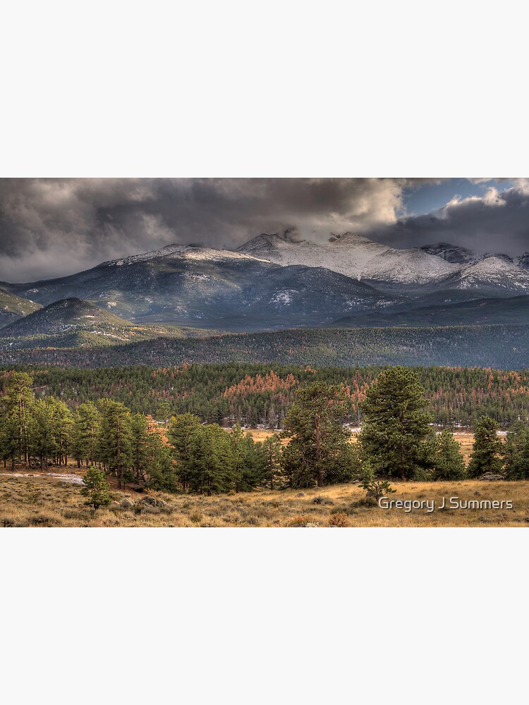 Fall  In Rocky Mountain National Park  by nikongreg