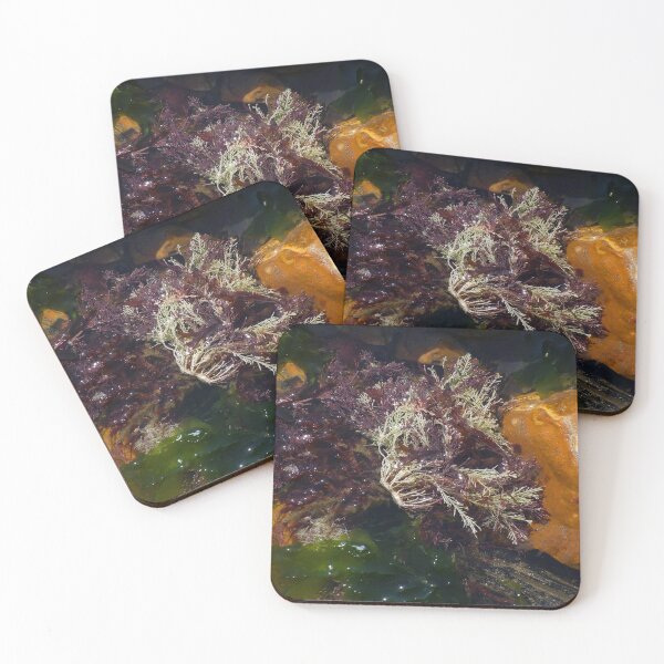 Item preview, Seaweed designed and sold by Linda Marques.