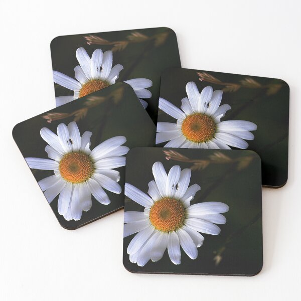 Item preview, Daisy Daisy give me your answer do  designed and sold by Photography  by Mathilde.
