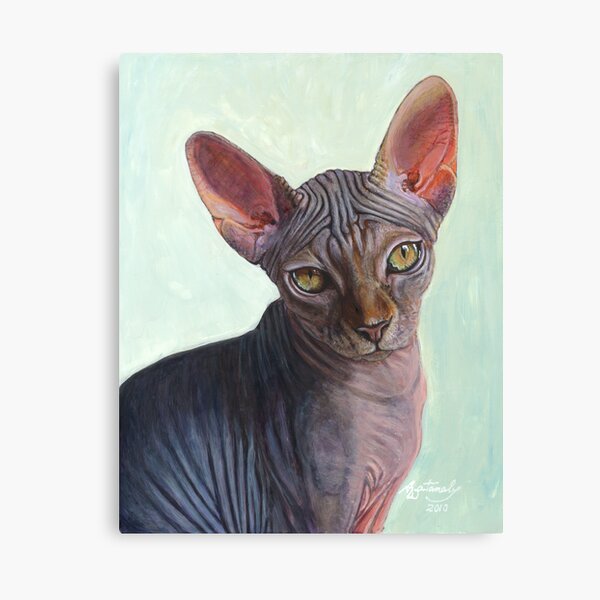 Sunitha (Sphynx) Canvas Print