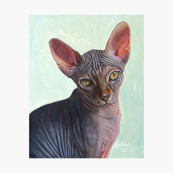 Sunitha (Sphynx) Photographic Print