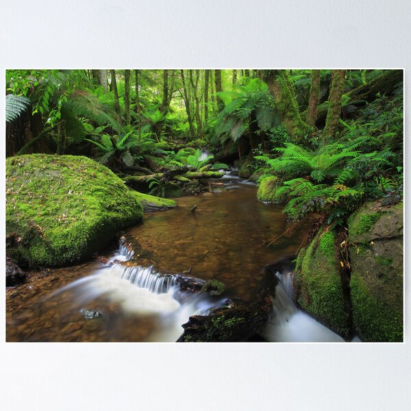 Keppels Hut Creek Poster