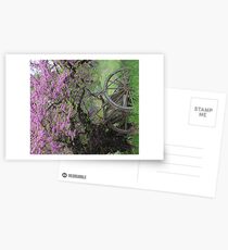 Rural scene Postcards