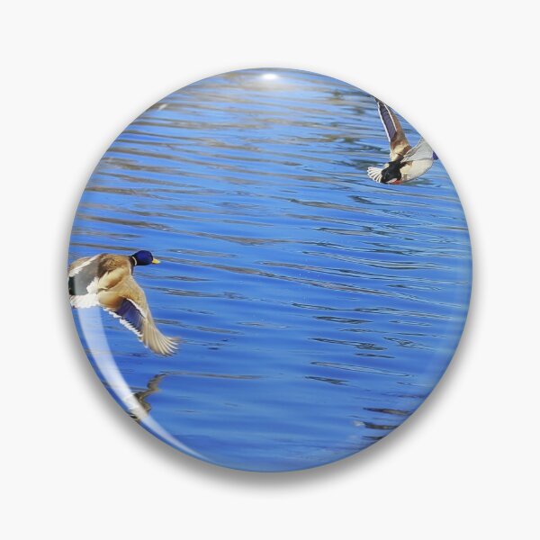 Item preview, Mallard Duck Couple Taking Flight designed and sold by Yannik Hay.