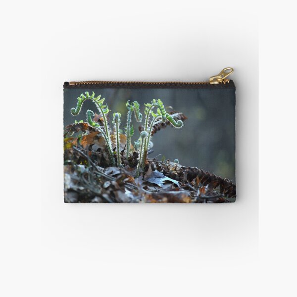 Item preview, Fiddlehead Ferns designed and sold by Laurie Minor.