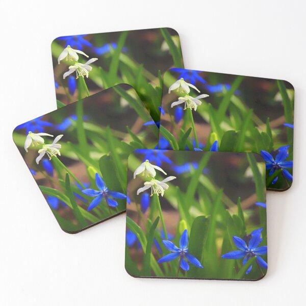Item preview, Squill siberiano designed and sold by Yannik Hay.