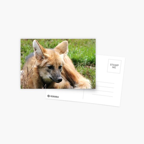 Item preview, Maned Wolf designed and sold by Ladymoose.