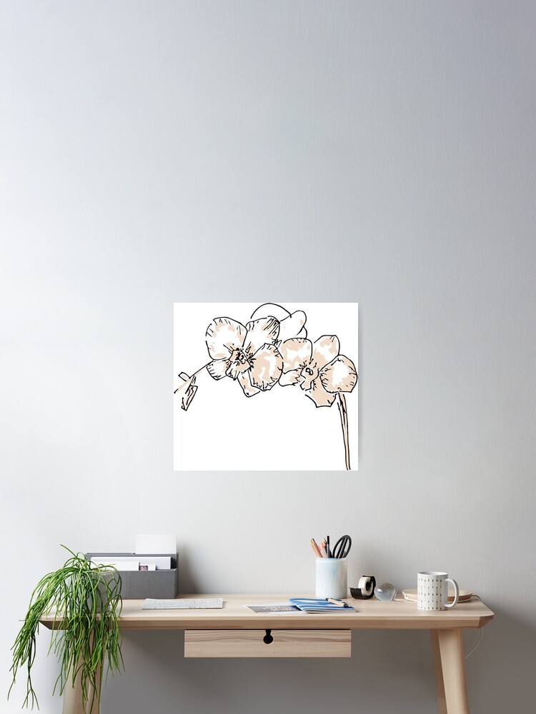 Beige Orchidee Blume Skizze Poster Von Pollymoonlight Redbubble