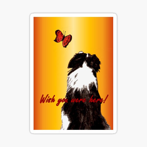 Wish You Were Here - Greeting Card Sticker