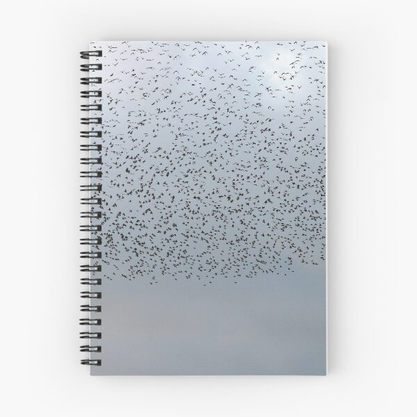 Item preview, Starling murmuration designed and sold by GreyFeatherPhot.