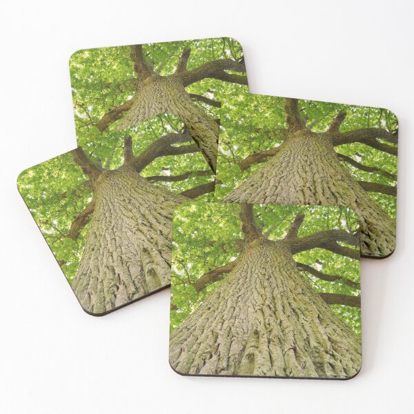 Item preview, Tall Tree designed and sold by MidnightHoots.