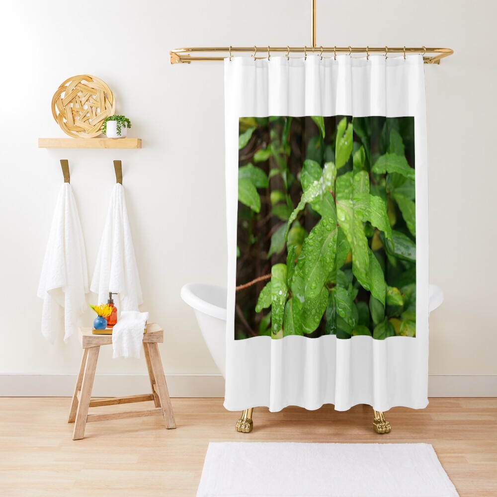 Water Drop or dew on Leaf with green background Shower Curtain