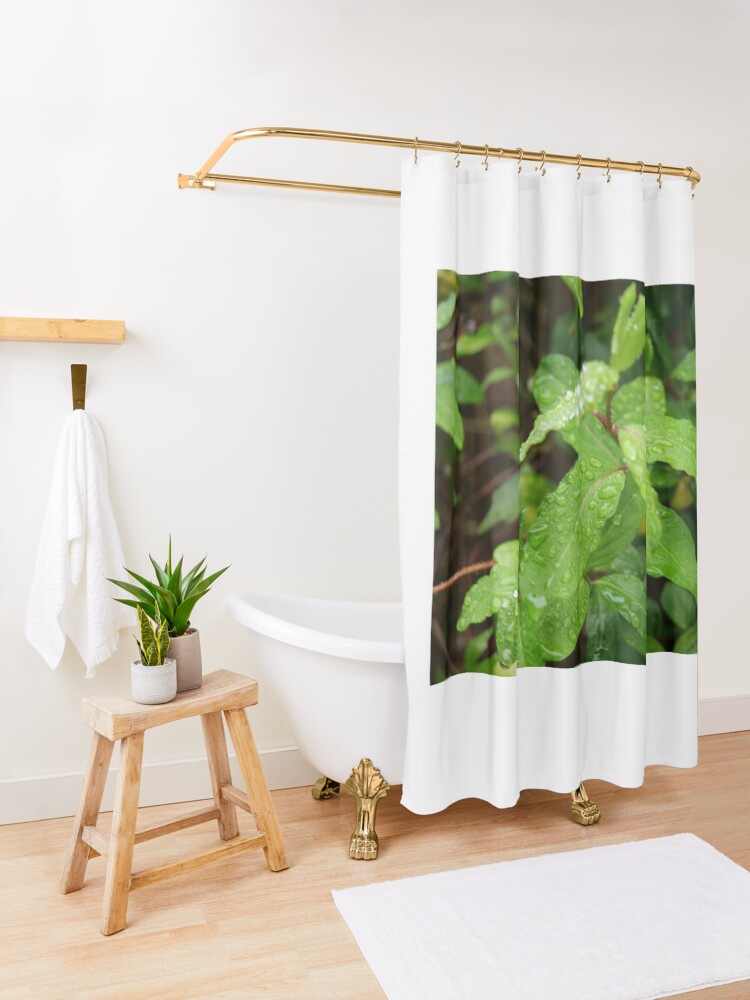 Alternate view of Water Drop or dew on Leaf with green background Shower Curtain