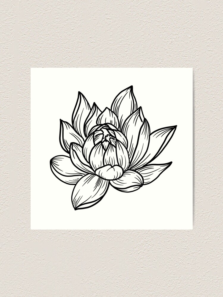 Simple lotus flower line drawing outline isolated in white background. Lotus  Blossom Symbol Icons. Vector illustration concept of Abstract Lotus flower  36093422 Vector Art at Vecteezy