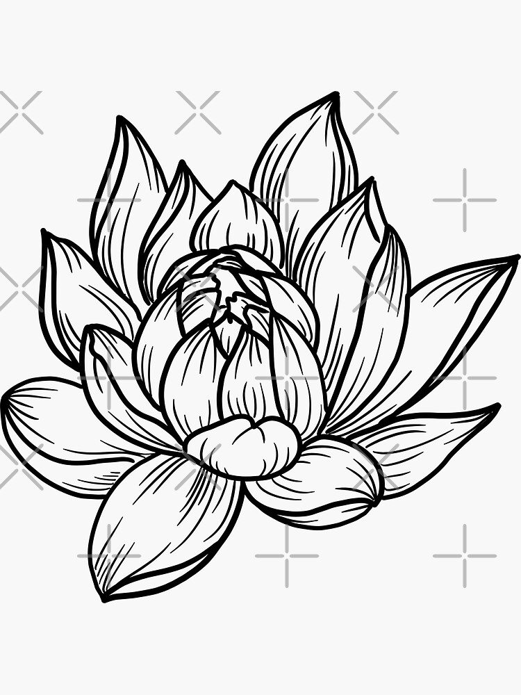 Hand Drawn Lotus Flower Plant Design Elements Botanical Logo Stock Vector  by ©nuraschka 359398808