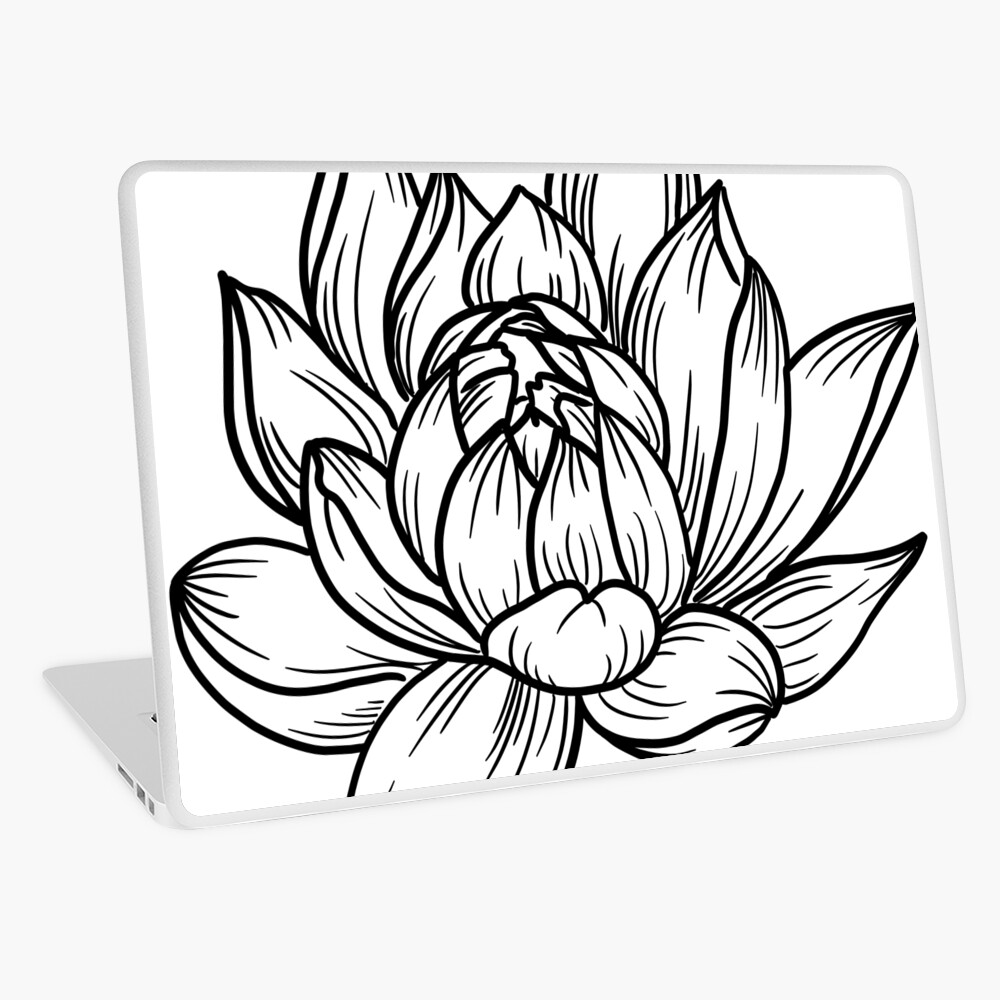 1,100+ Lotus Flower Bud Drawing Stock Illustrations, Royalty-Free Vector  Graphics & Clip Art - iStock