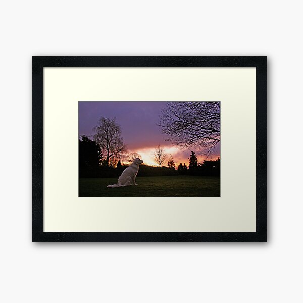 Item preview, A beautiful December morning designed and sold by Trine.