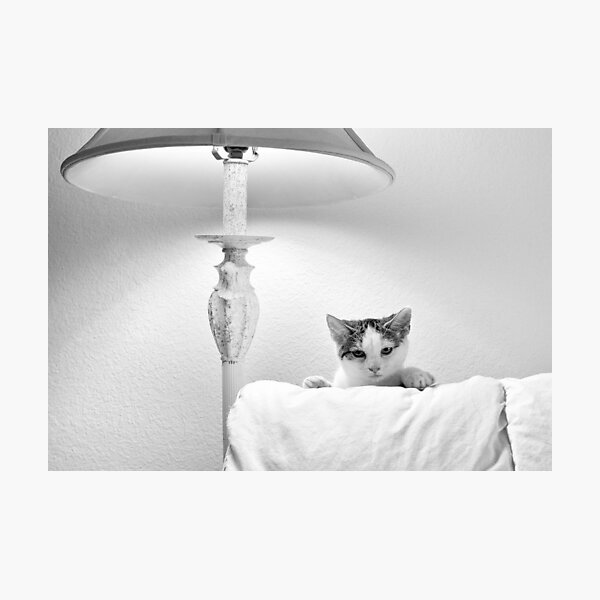 Enough with the camera already! Photographic Print