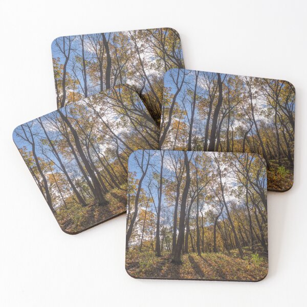 Item preview, Light through Wyalusing Trees designed and sold by Sam Wagner.
