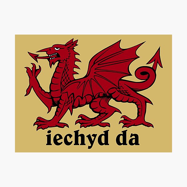 Welsh Dragon Wall Art Redbubble