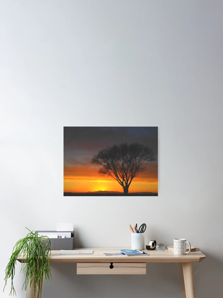 Aperçu 2 sur 3. Poster avec l'œuvre Sunset Tree créée et vendue par RiffXS.
