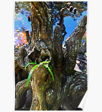 Small Plant Survives Among the Cypress Knees Poster