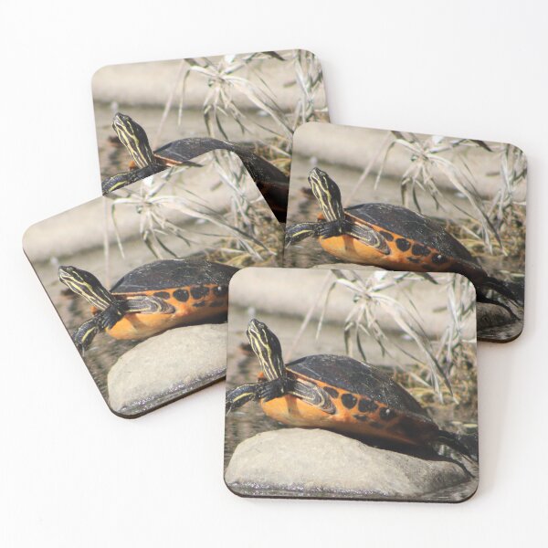 Item preview, Basking Turtle designed and sold by EyeMusic.