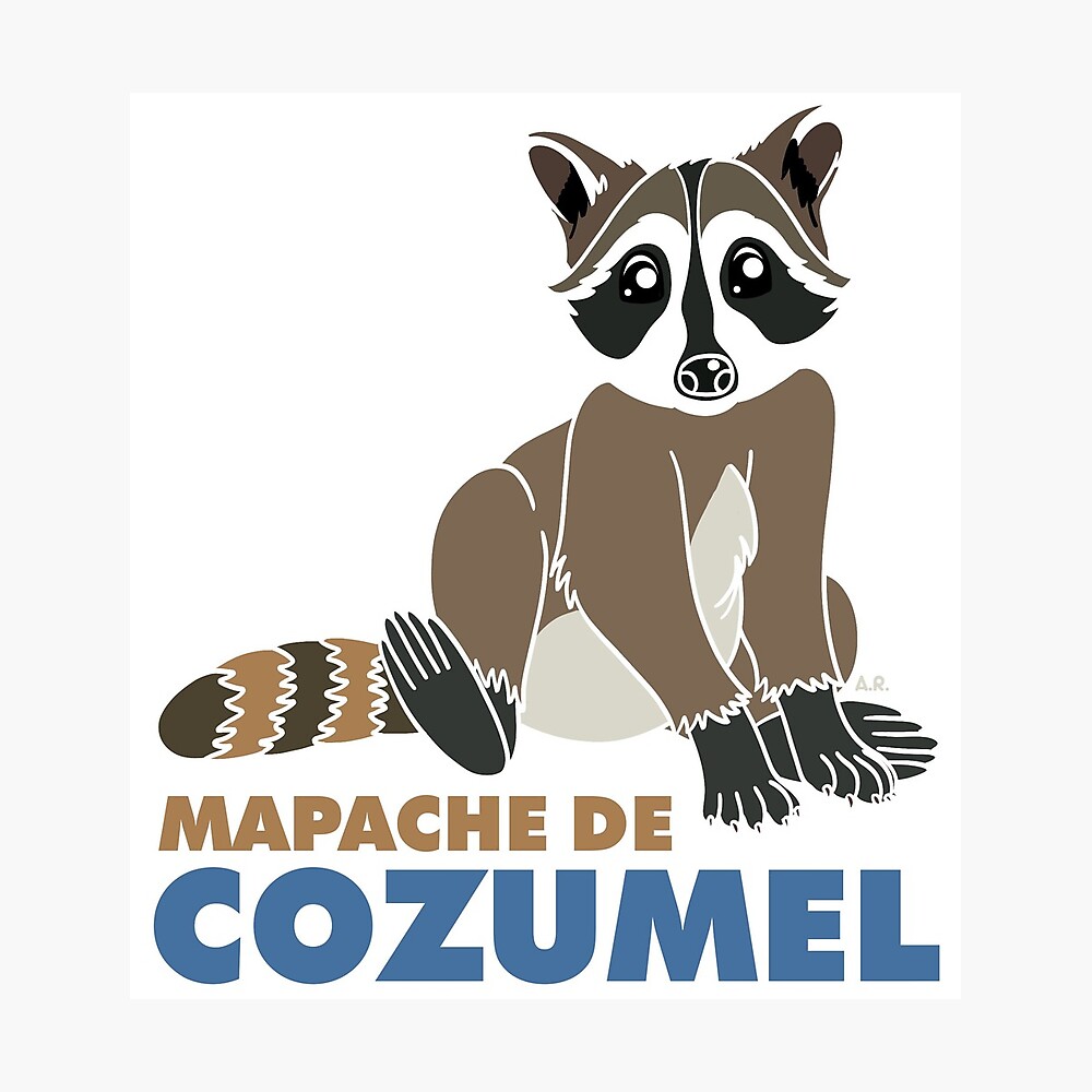 MAPACHE DE COZUMEL - ENDÉMICOS DE MÉXICO SERIES