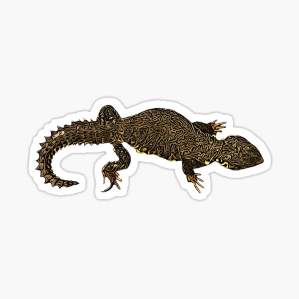 Uromastyx Lizard Sticker