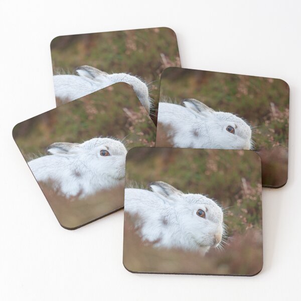 Item preview, Curious mountain hare designed and sold by chanonry.