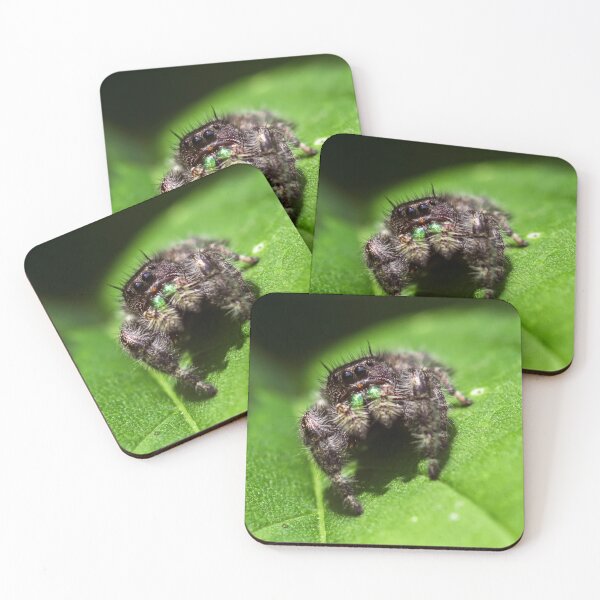 Item preview, Jumping Spider Close Up designed and sold by Sam Wagner.