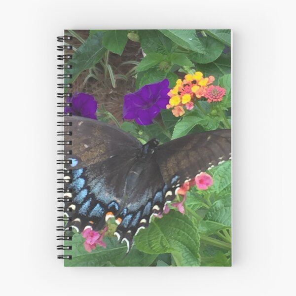 Item preview, Black Swallowtail (Papllio polyxenes)   designed and sold by zwrr16.