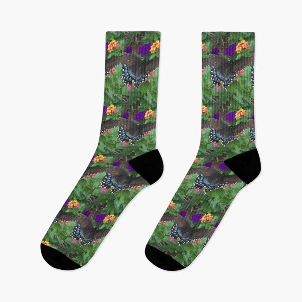 Item preview, Black Swallowtail (Papllio polyxenes)   designed and sold by zwrr16.