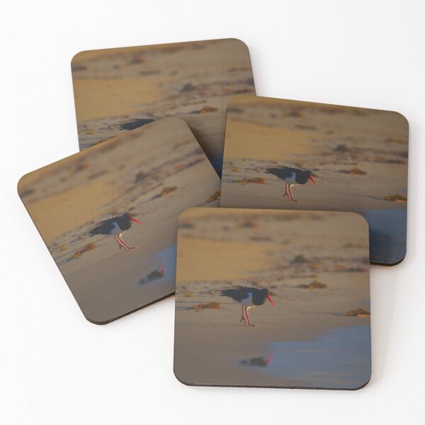 Item preview, A Pied Oyster Catcher At Sunrise designed and sold by Jason Gilbert.