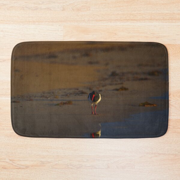 Item preview, A Pied Oyster Catcher At The Break Of Dawn designed and sold by Jason Gilbert.