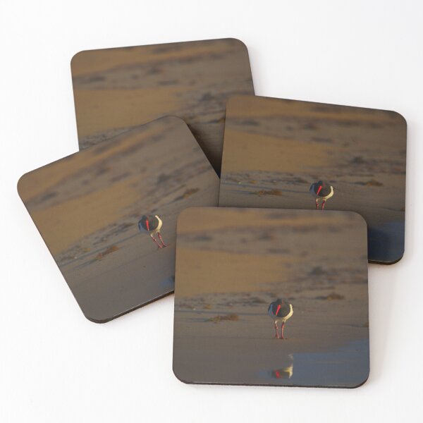 Item preview, A Pied Oyster Catcher At The Break Of Dawn designed and sold by Jason Gilbert.
